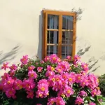 krevet i doručak Sobodajalstvo Obal 3*