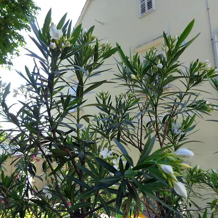 Frühstückspension Sobodajalstvo Obal 3*