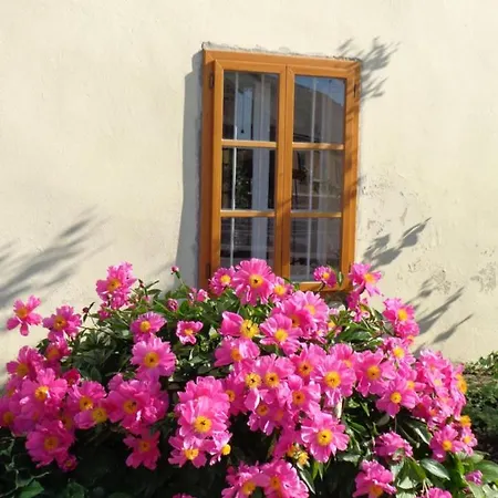 Frühstückspension Sobodajalstvo Obal 3*